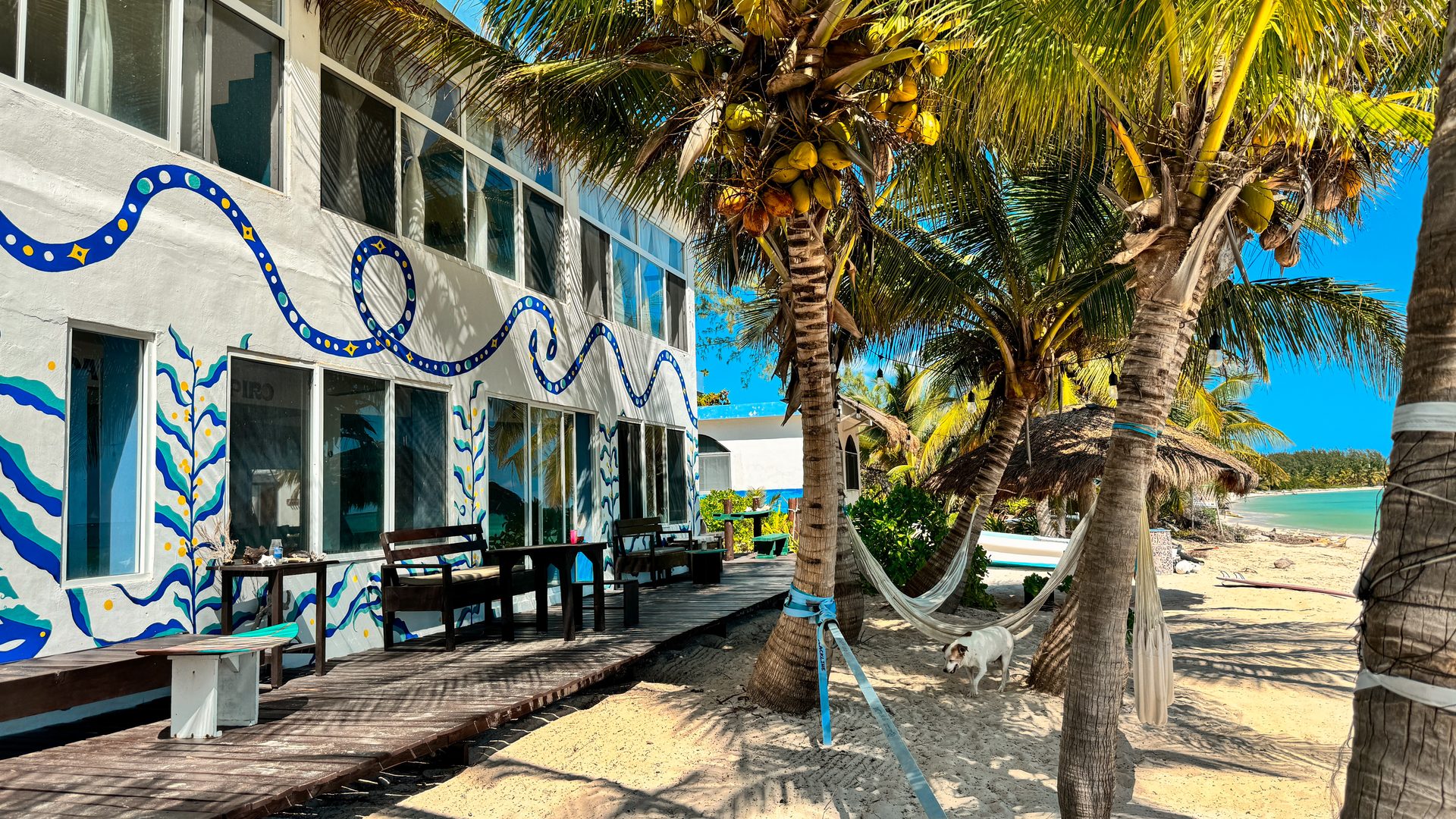 The terrace at Pronoia — open-air, sea view, palms